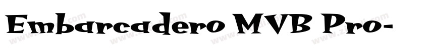 Embarcadero MVB Pro字体转换